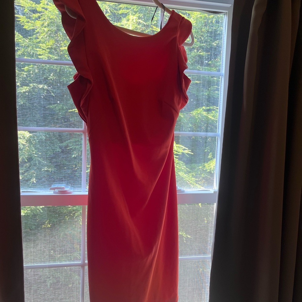 Elegant burnt orange Ruffle Sleeve Dress - Picture 2 of 5